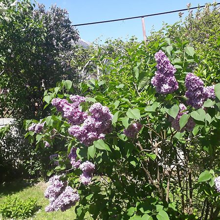 Gretl - Residence Parcines Dış mekan fotoğraf