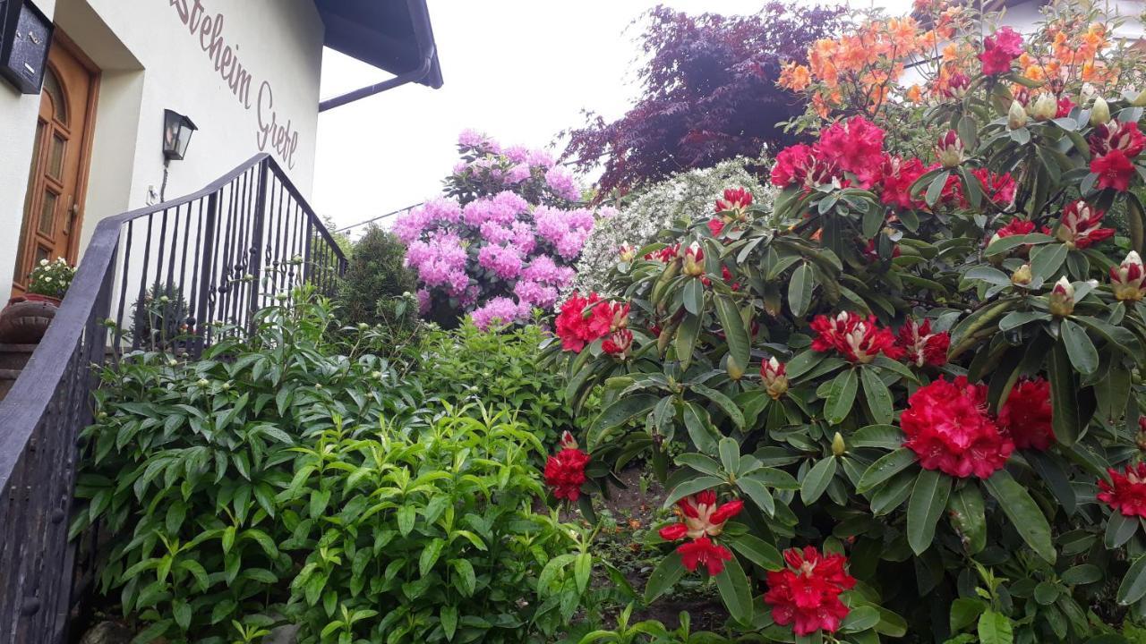 Gretl - Residence Parcines Dış mekan fotoğraf