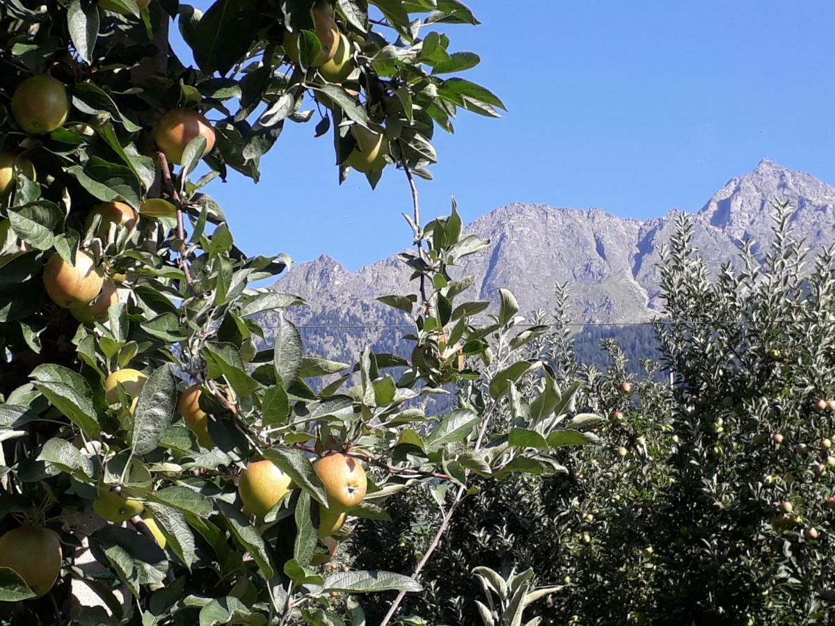 Gretl - Residence Parcines Dış mekan fotoğraf