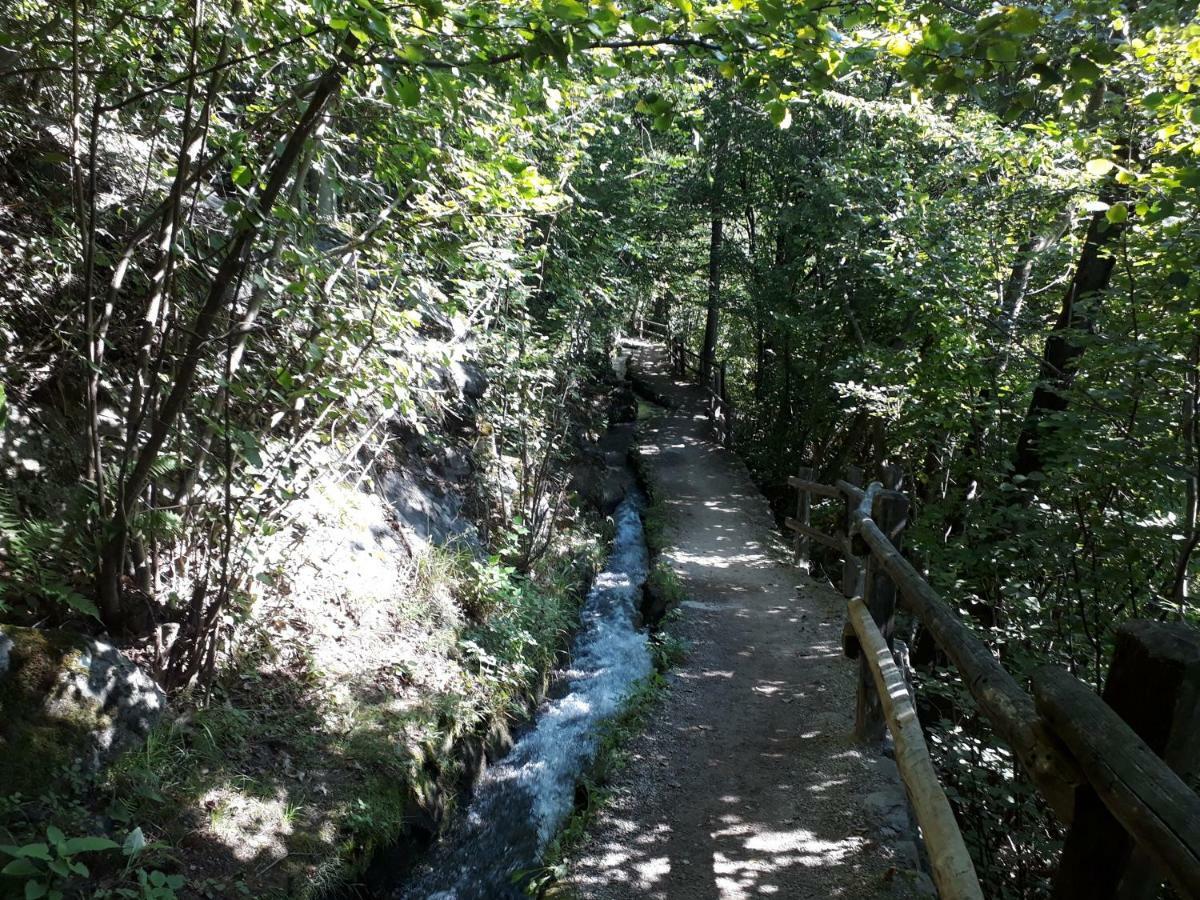 Gretl - Residence Parcines Dış mekan fotoğraf